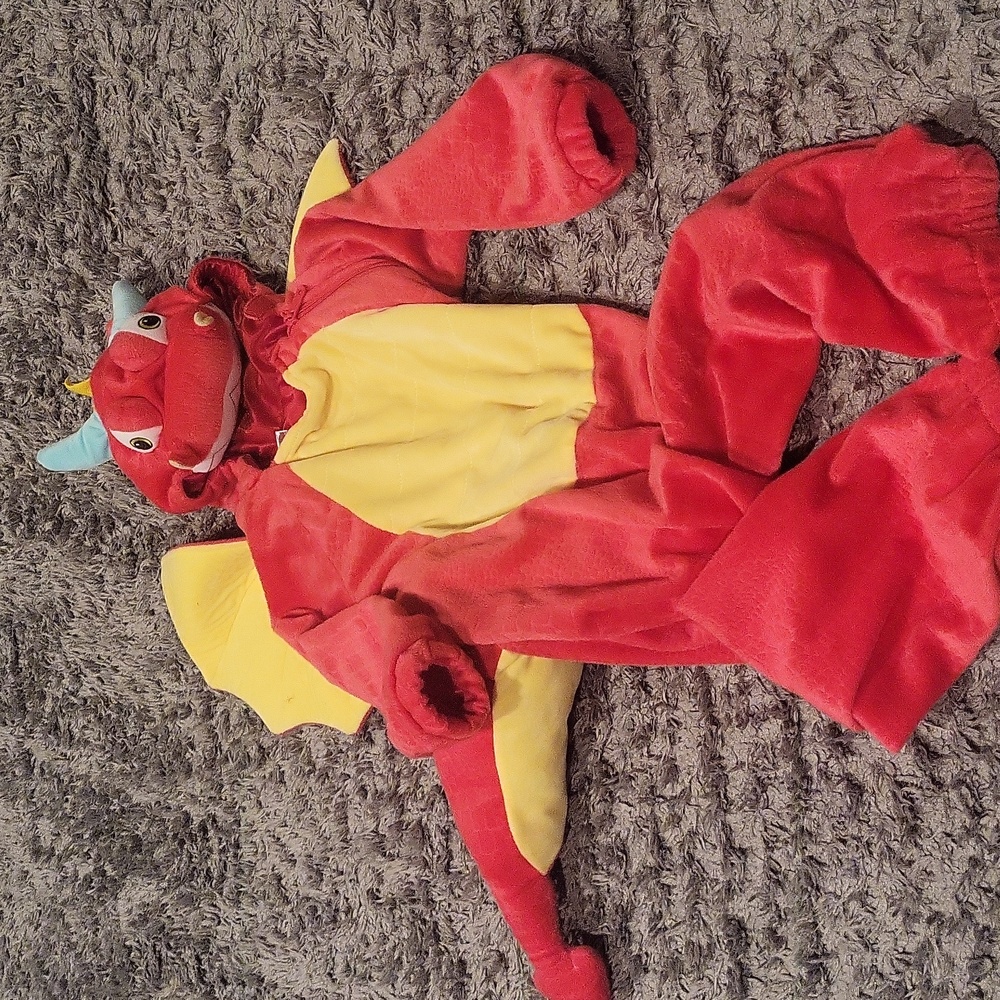 Dragon Costume